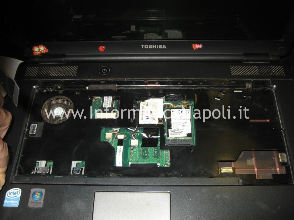 Toshiba l300 замена процессора