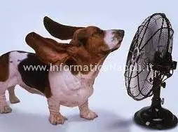 cane ventilatore