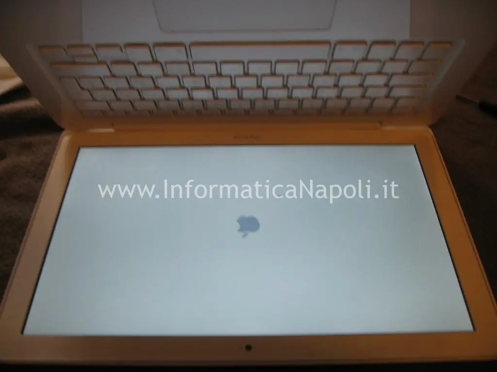 test Apple MacBook A1342 13.3 EMC 2350 riparato